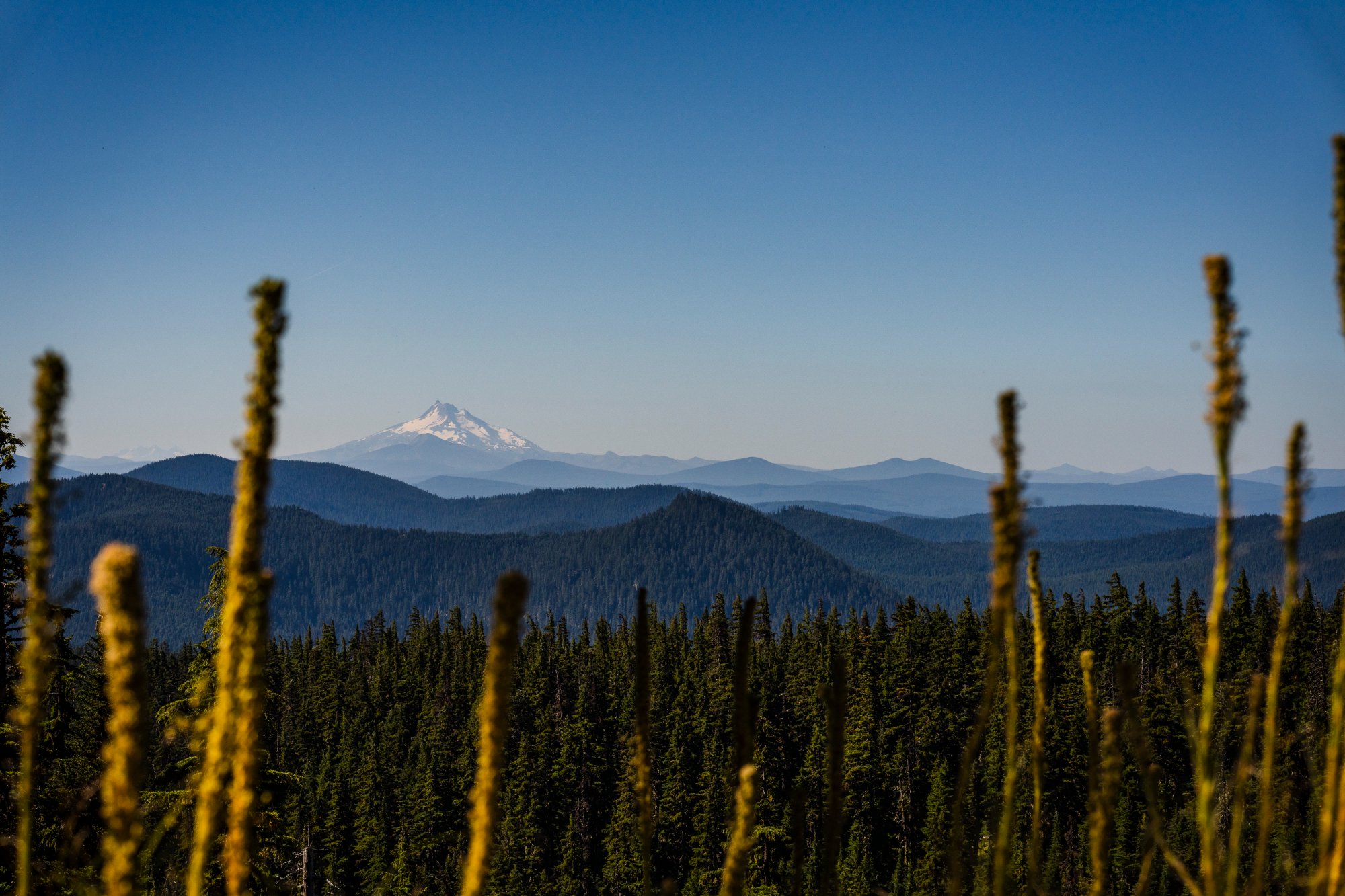 Mt. Hood and Pacific Northwest forest landscape